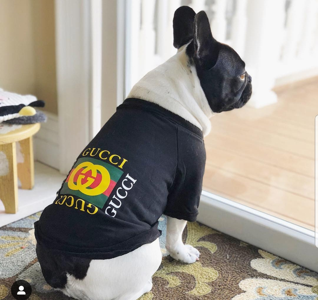 Pucci Dog T-shirt
