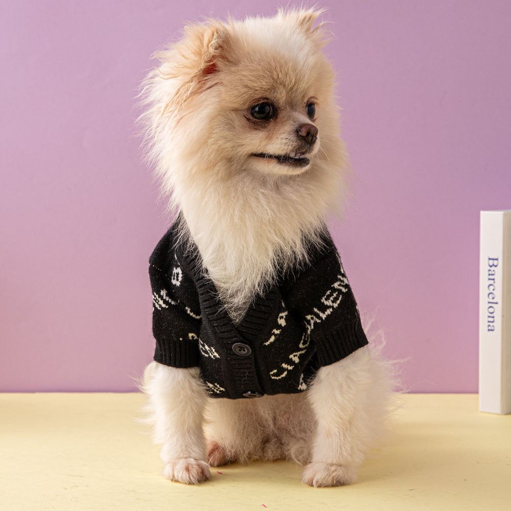 Pawlenciaga Dog Sweater Elegant