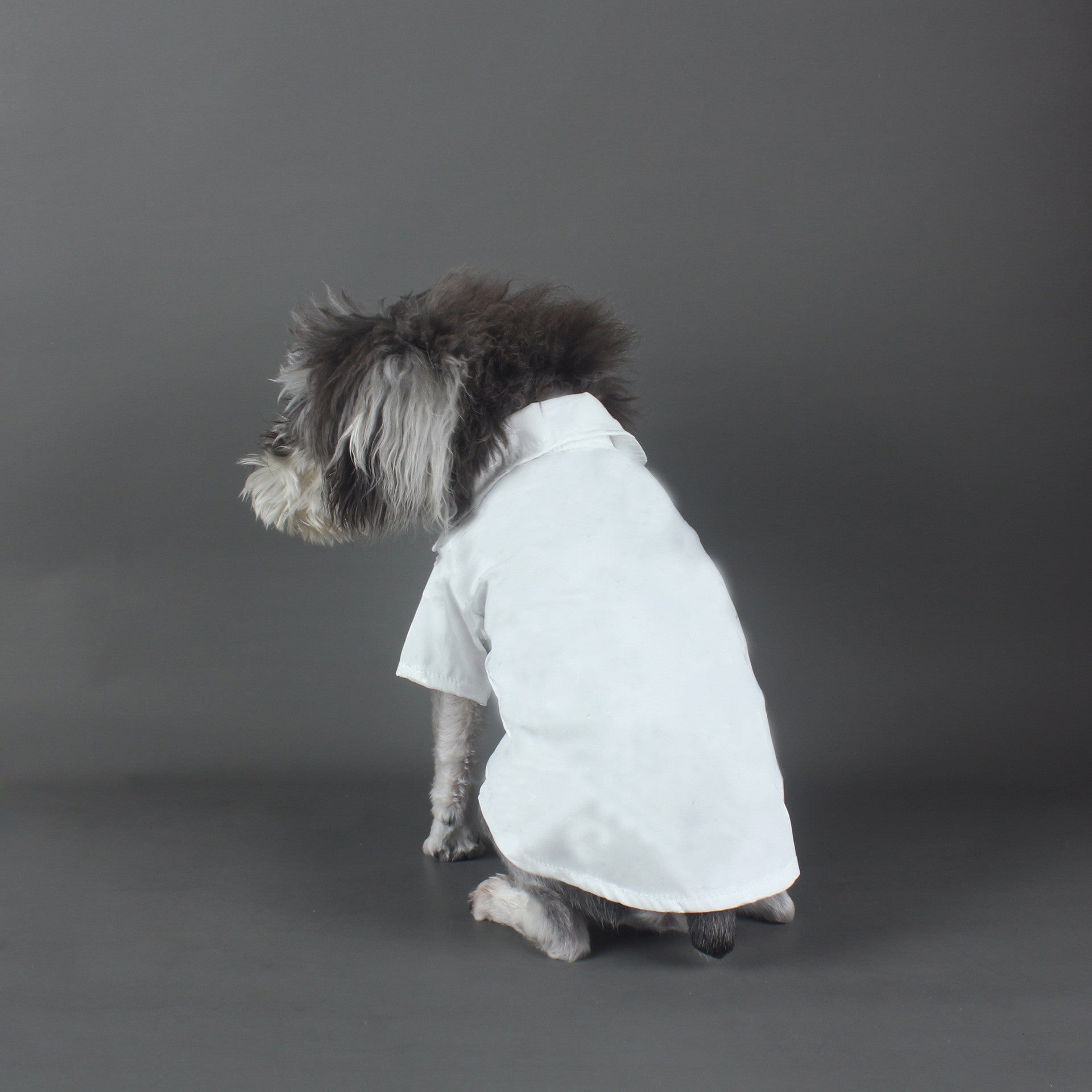 LV Dog White Shirt